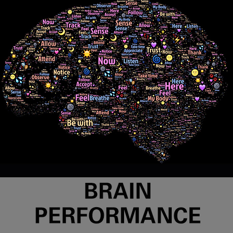 Brain Performance