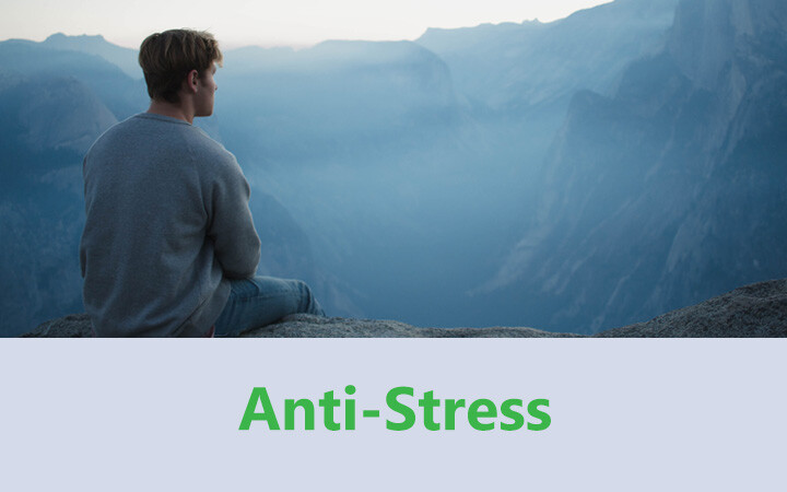 Anti Stress Devices