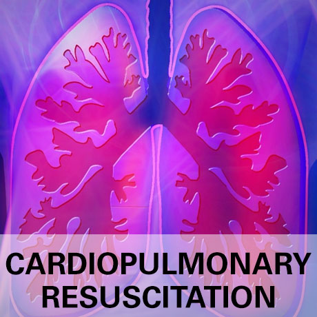 Herz-Lungen-Wiederbelebung Titelbild mit Lunge und Text