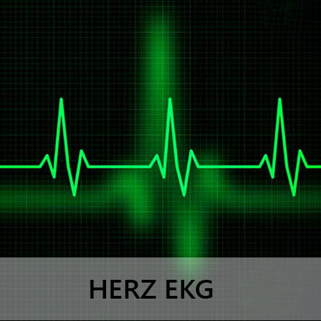 Abbildung zum Artikel Herz EKG